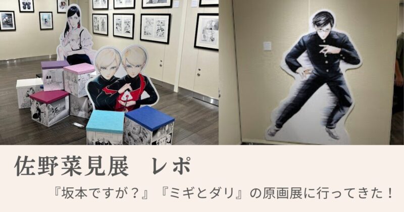 佐野菜見展 ミギとダリ 缶バッジセット 原画展 限定 サリー 佐野菜見展 長崎にて好評開催中！ | ハルタ（Harta）【公式サイト】